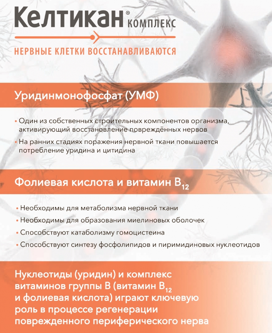 Действующие вещества Келтикана Действующие вещества Келтикана