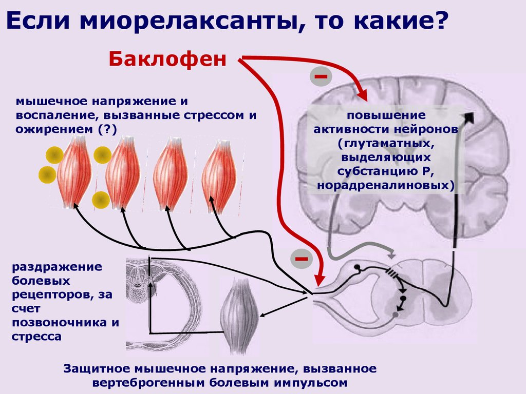 Действие Баклофена Действие Баклофена
