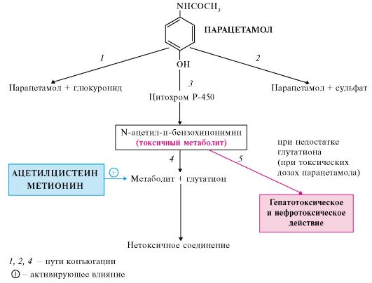 Действие анальгетиков Действие анальгетиков