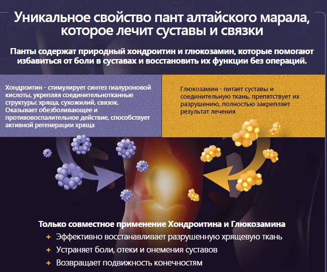 Действие Артропанта на суставы Действие Артропанта на суставы