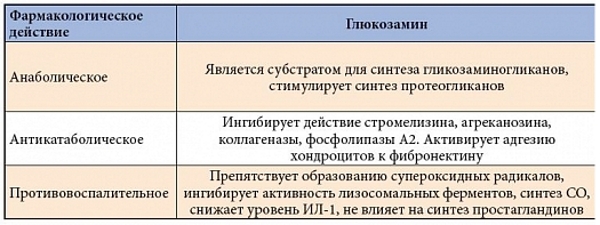 Действие глюкозамина Действие глюкозамина