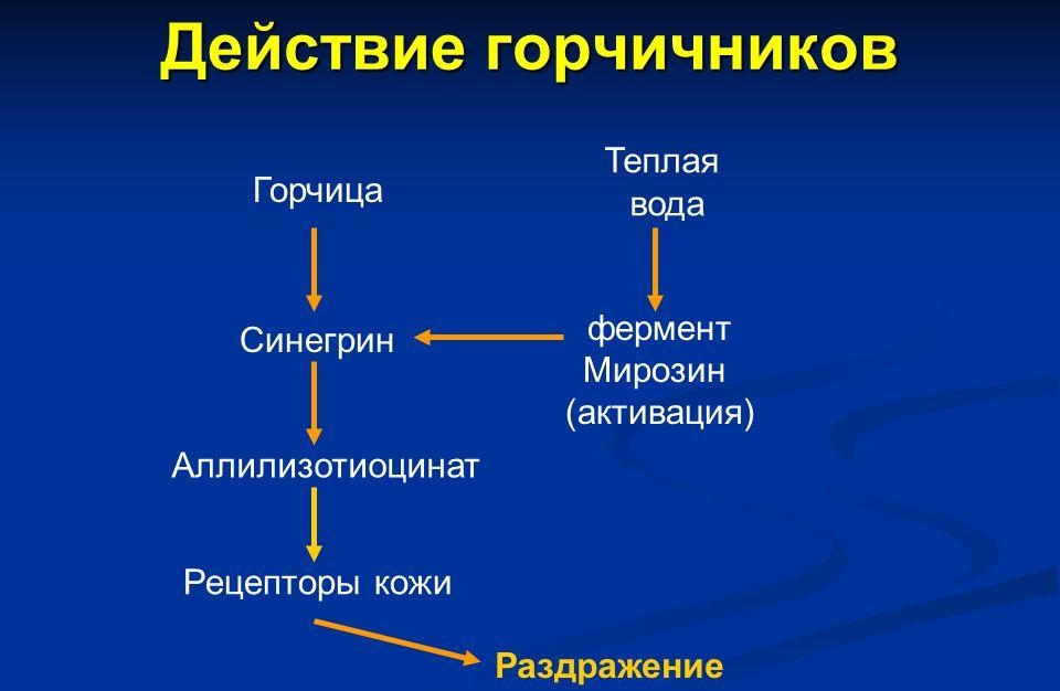 Действие горчичников при остеохондрозе Действие горчичников при остеохондрозе
