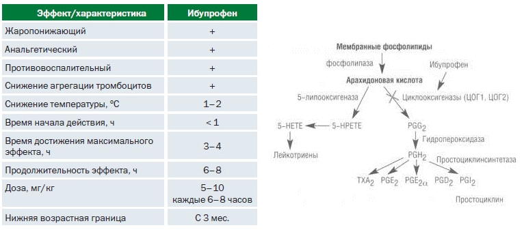 Действие Ибупрофена Действие Ибупрофена