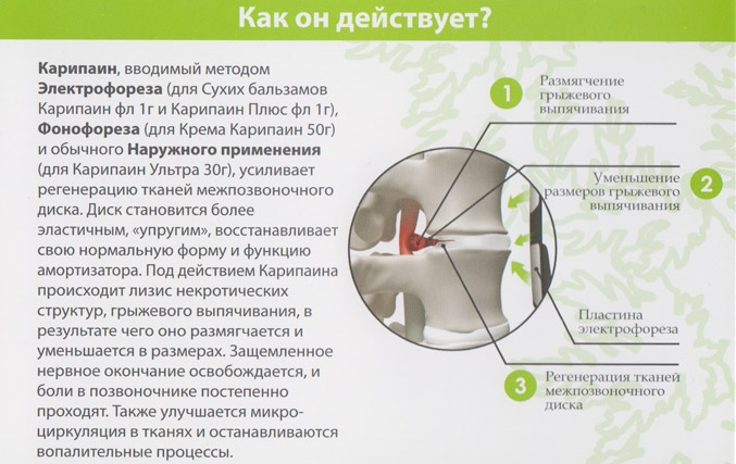Действие Карипаина Действие Карипаина