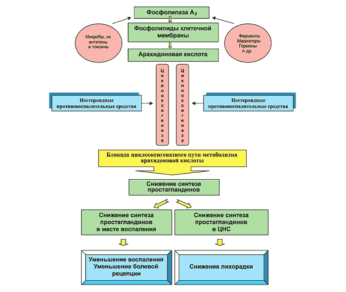 Действие НПВС средств Действие НПВС средств