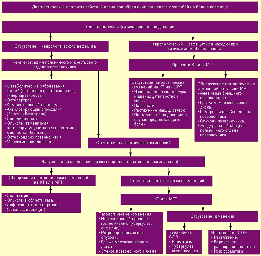 Диагностика боли в пояснице Диагностика боли в пояснице