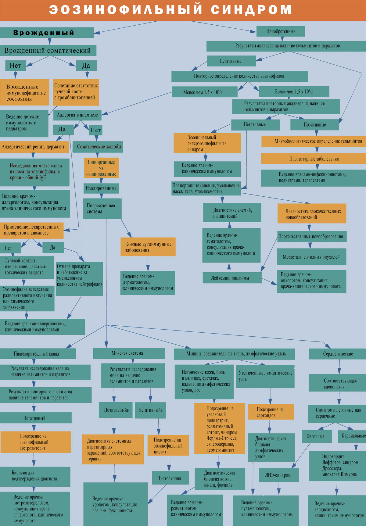 Диагностика эозинофильного синдрома Диагностика эозинофильного синдрома