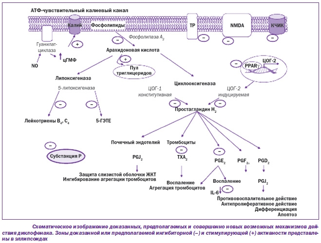 Действие Диклофенака Действие Диклофенака