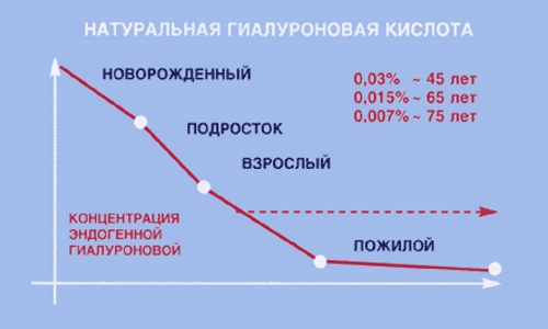 Динамика концентрации гиалуроновой кислоты с возрастом Динамика концентрации гиалуроновой кислоты с возрастом