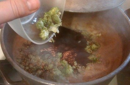 Домашнее пиво Домашнее пиво