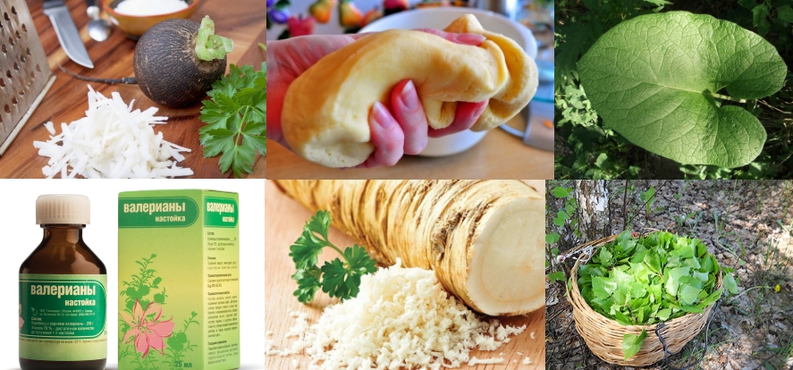 Дополнительные народные средства при радикулите Дополнительные народные средства при радикулите