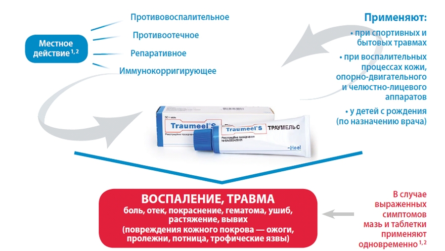 Эффект от мази Траумель Эффект от мази Траумель