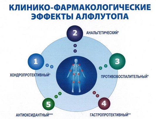 Эффекты препарата Алфлутоп Эффекты препарата Алфлутоп