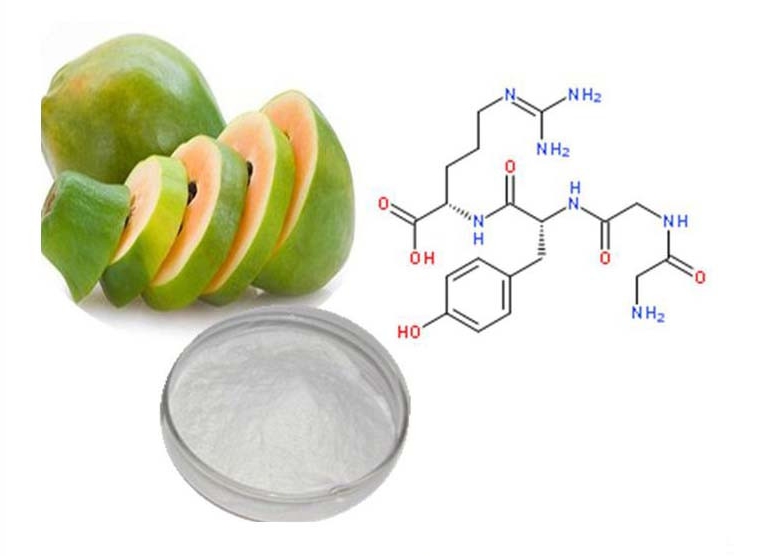 Фермент папаин Фермент папаин