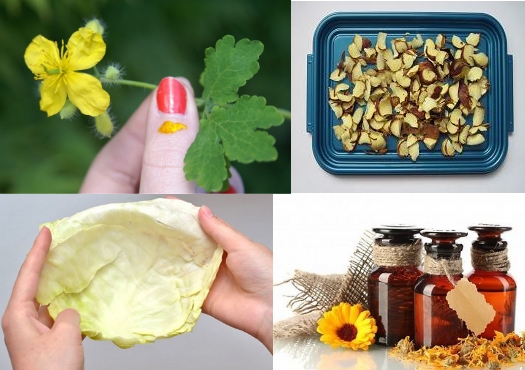 Фитосредства от гигромы Фитосредства от гигромы