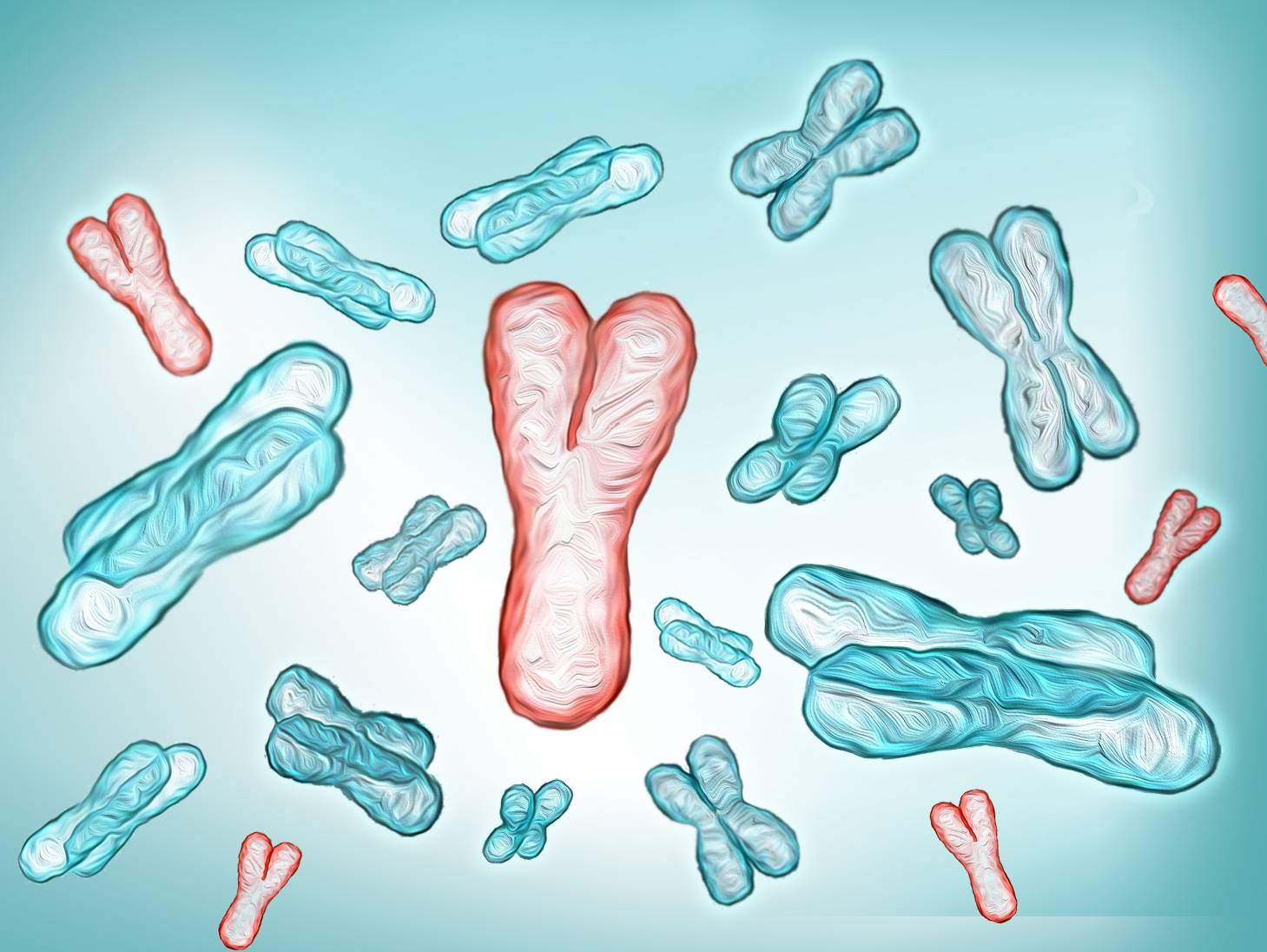 Генетическая причина клинодактилии Генетическая причина клинодактилии