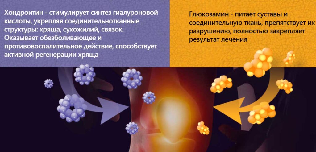 Хондроитин и Глюкозаимин Хондроитин и Глюкозаимин