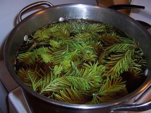 Хвойный отвар при артрите Хвойный отвар при артрите