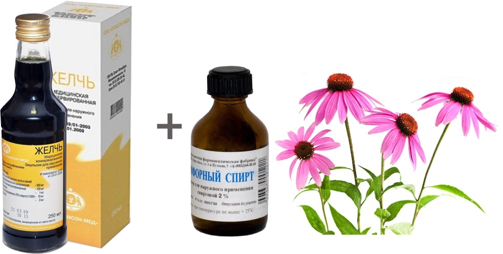 Ингредиенты для мази с желчью Ингредиенты для мази с желчью