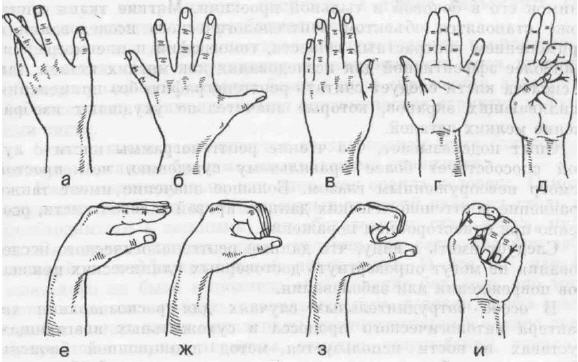 Исследование работоспособности пальцев Исследование работоспособности пальцев