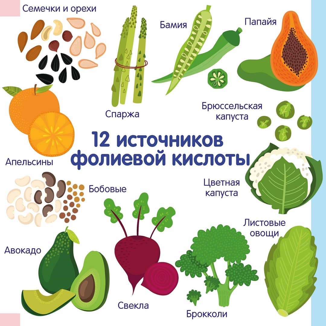 Источники фолиевой кислоты Источники фолиевой кислоты