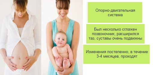 Изменения в опорно-двигательном аппарате после родов Изменения в опорно-двигательном аппарате после родов