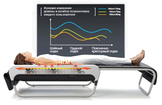 Измерение длины позвоночника Измерение длины позвоночника