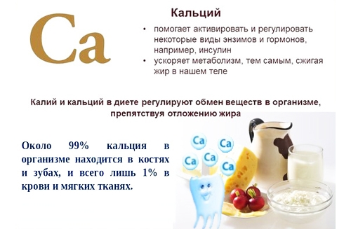 Роль кальция в организме Роль кальция в организме