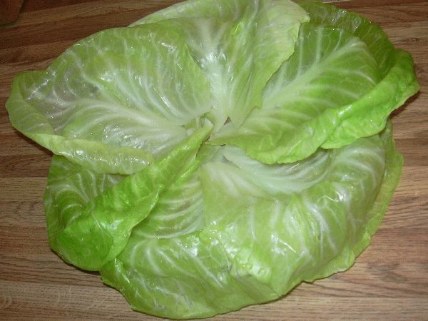 Капустный компресс