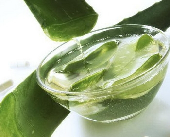 Кашица из алоэ Кашица из алоэ