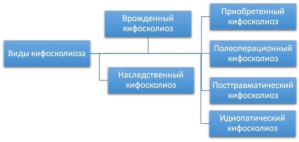 Типы кифосколиоза Типы кифосколиоза