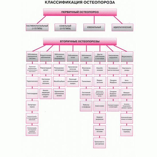 Классификация остеопороза Классификация остеопороза