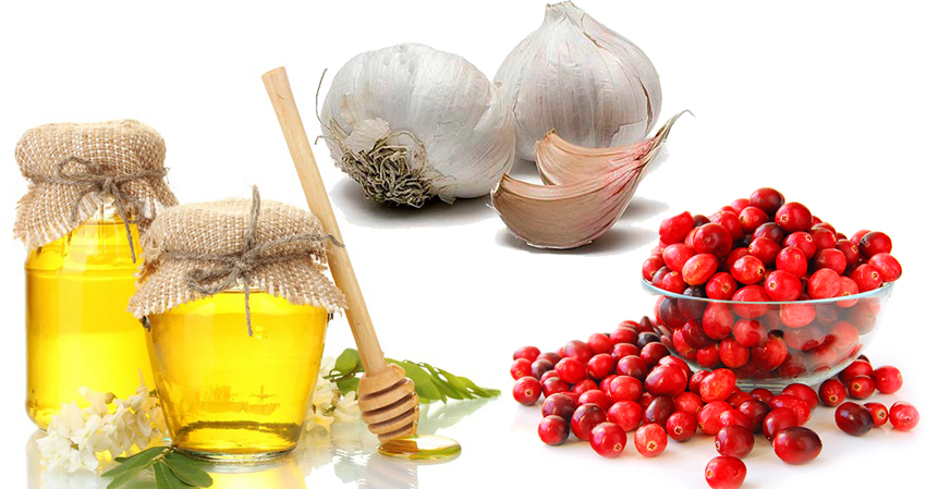 Клюква с мёдом и чесноком для лечения челюстного сустава Клюква с мёдом и чесноком для лечения челюстного сустава