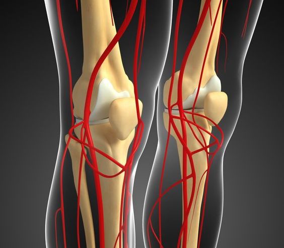 Улучшение кровообращения колена
