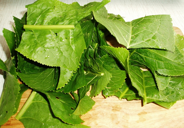 Листья хрена Листья хрена