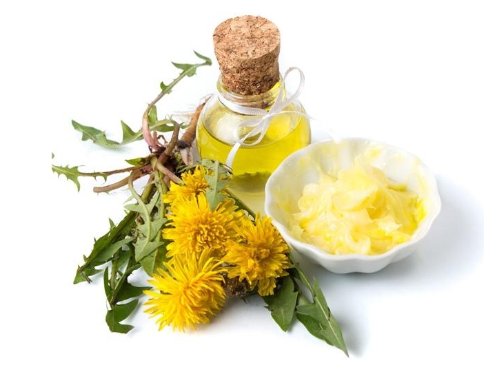 Масло и мазь из одуванчика Масло и мазь из одуванчика