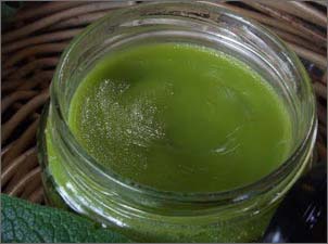 Мазь из алоэ Мазь из алоэ