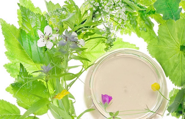 Мазь на основе трав