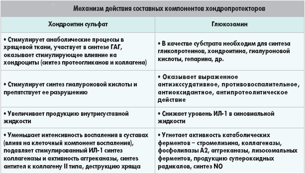 Механизм действия хондропротекторов Механизм действия хондропротекторов