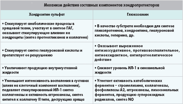 Механизм действия хондроитина и глюкозамина