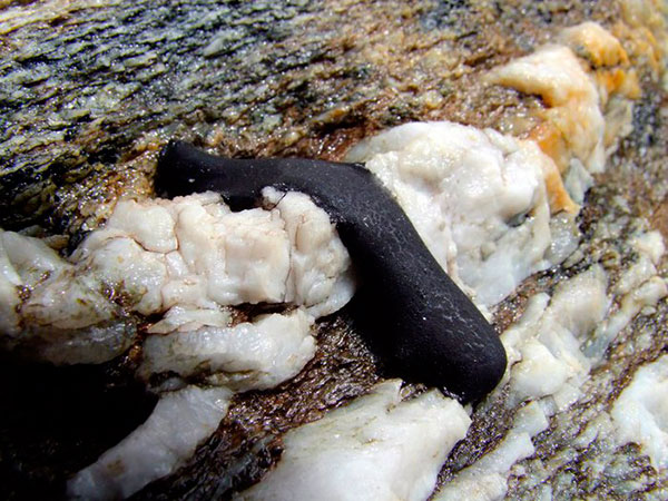 Мумие Мумие