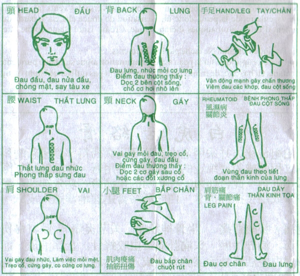 Места нанесения бальзама Белый тигр Места нанесения бальзама Белый тигр