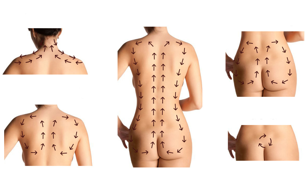 Направления массажа спины Направления массажа спины
