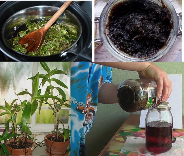 Приготовление компрессов Приготовление компрессов