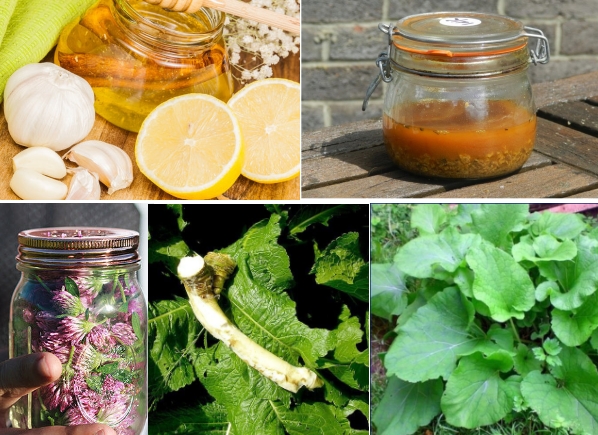 Народные средства при остеохондрозе позвоночника Народные средства при остеохондрозе позвоночника