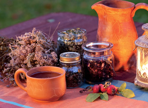 Применение настоев при ишиасе Применение настоев при ишиасе