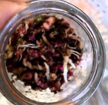 Настой из ростков картофеля Настой из ростков картофеля