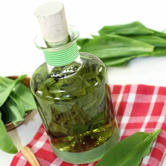 Настой из золотого уса Настой из золотого уса