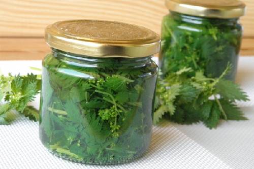 Настой крапивы на воде Настой крапивы на воде