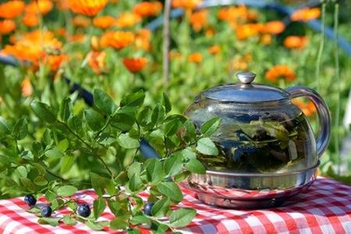 Чай из листьев черники Чай из листьев черники